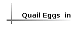 Quail Eggs  in