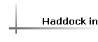 Haddock in